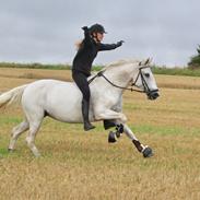 Connemara Thamdrup's Real Joy