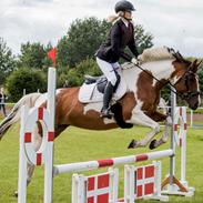 Anden særlig race Cutter's Cool Chelsey