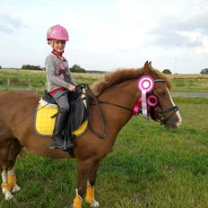 Anden særlig race Jonas