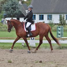 Fuldblod (XX) Red lightning xx (den)