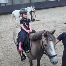 Anden særlig race Elmegaardens tin-tin