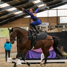 Oldenborg Bakkegårdens charlie