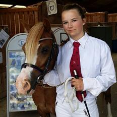 Welsh Mountain (sec A) Fakla Perle