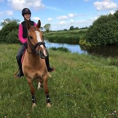 DSP Nørlunds Denver