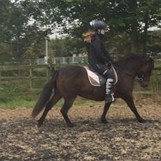 Anden særlig race June