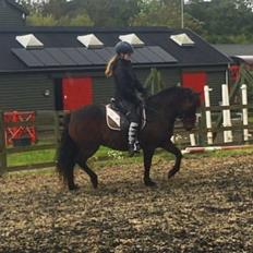 Anden særlig race June