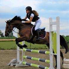 DSP Lazione kærlund