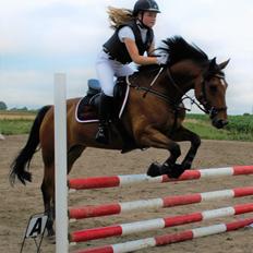 DSP Lazione kærlund