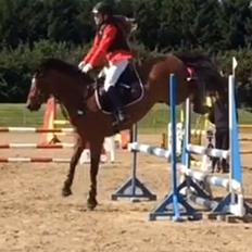 DSP Lazione kærlund