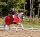 Svensk Sportspony  Uriah Heep A pony