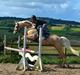 Palomino Rainbow Quickstep