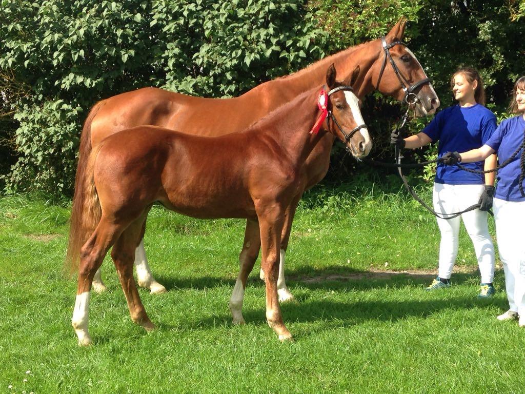 Frederiksborg Vivaldi´s £ billede 17