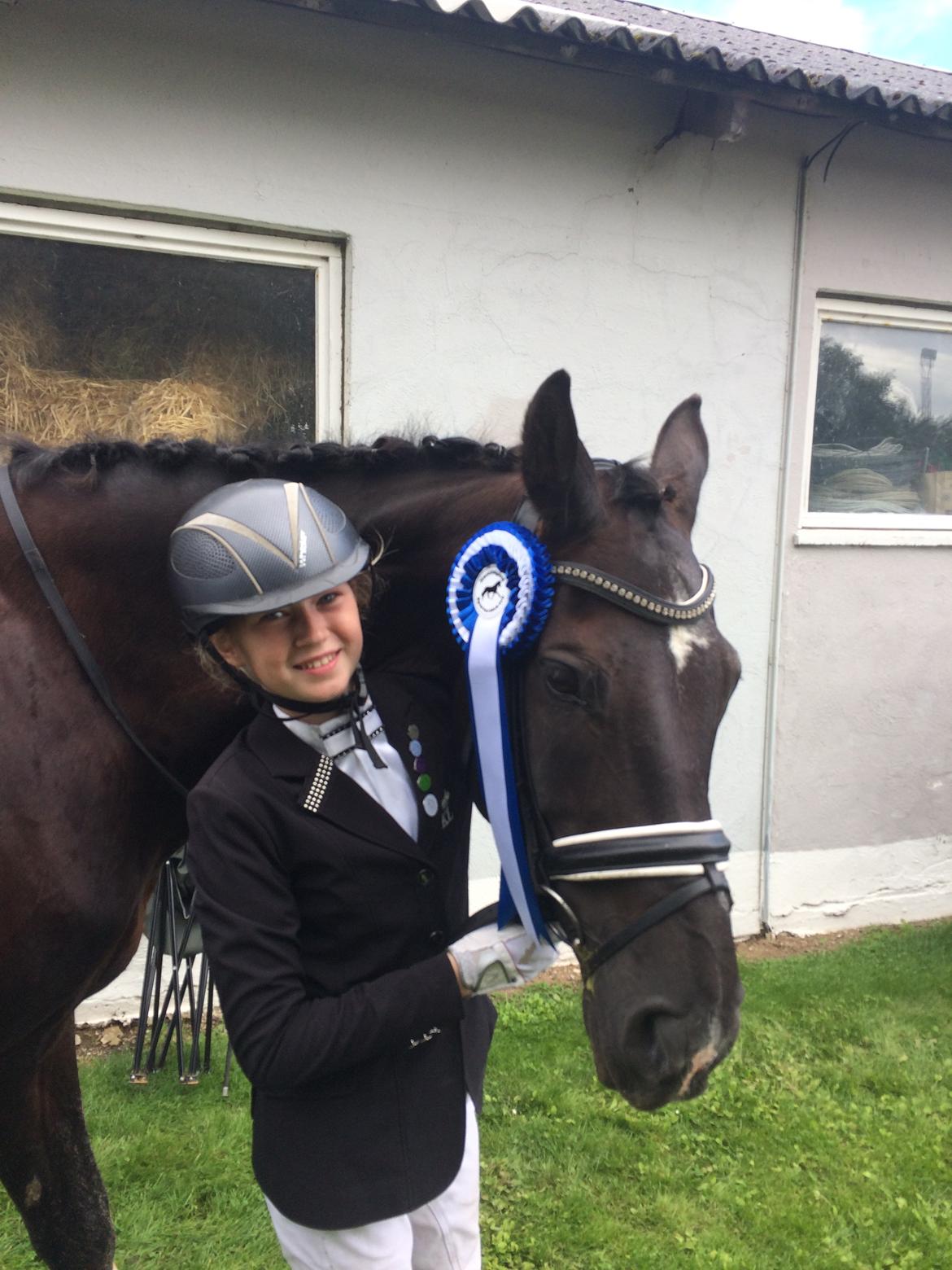 Dansk Varmblod Dusty søndertoft R.I.P (himmelhest) - Næstildgård lb2 2plads 70% billede 9