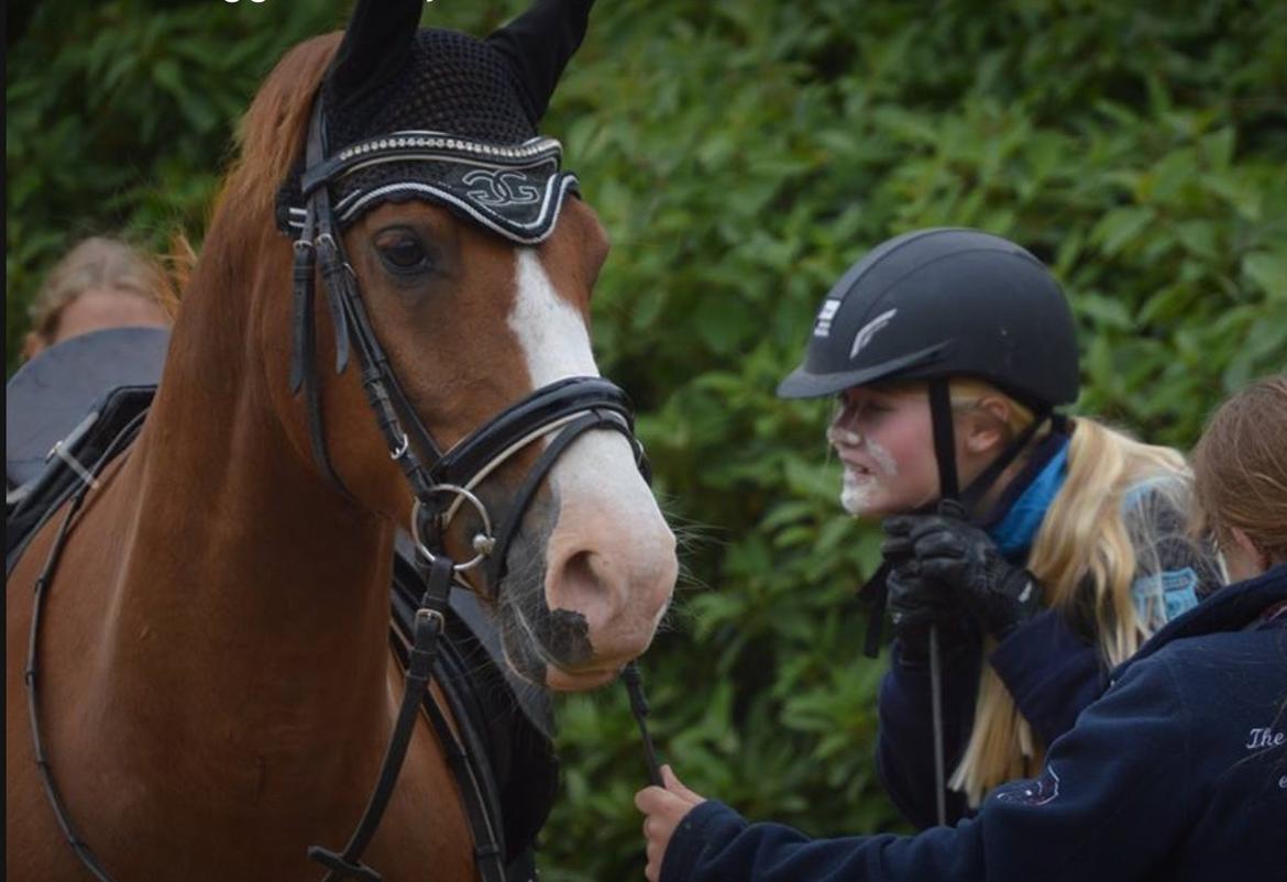 Anden særlig race Milando - Jeg savner dig rigtigt meget, det her er en af mine ynglingsbilleder! Vi har lige redet ponygames og fik begge en masse mel på os😂 billede 21