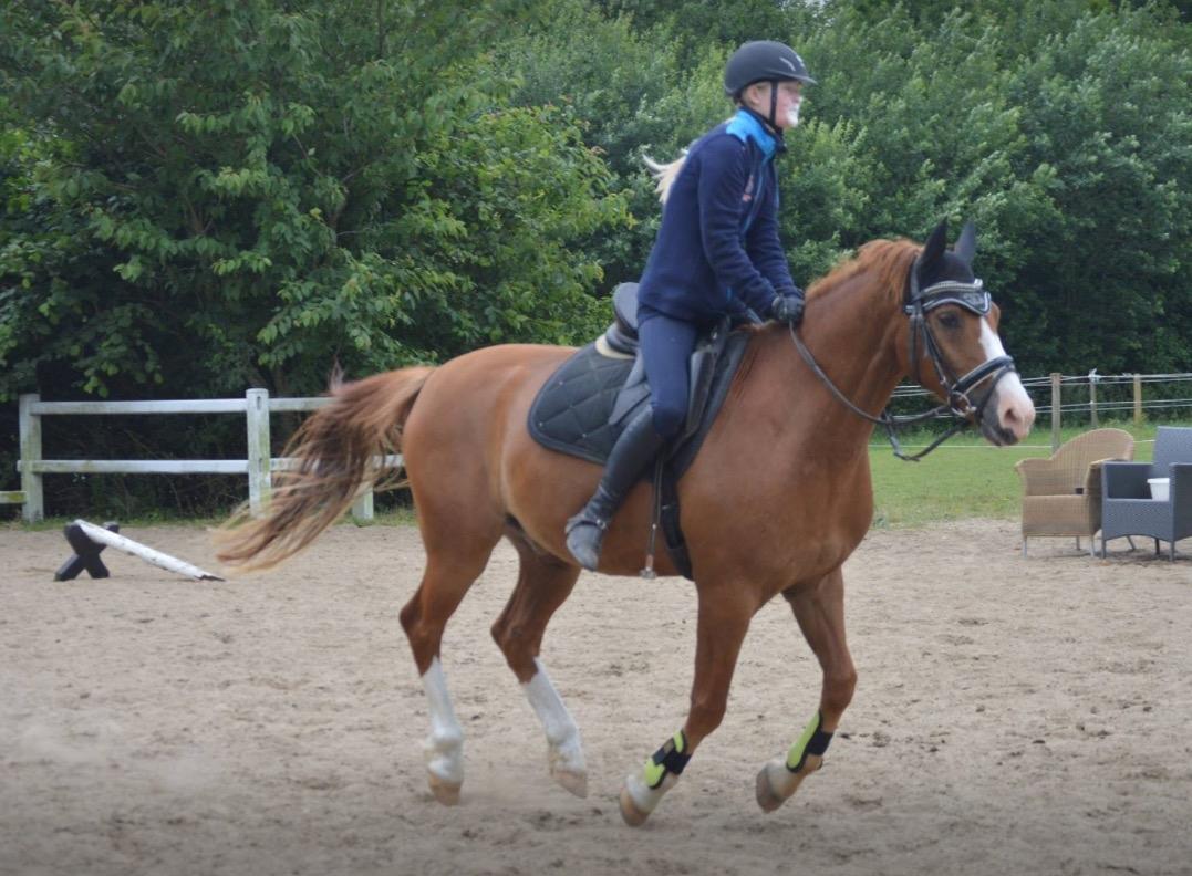 Anden særlig race Milando billede 22