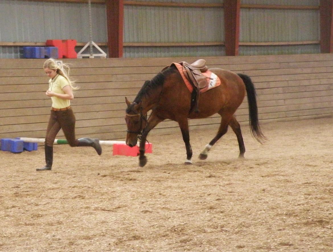 Anden særlig race Wilanó  billede 4