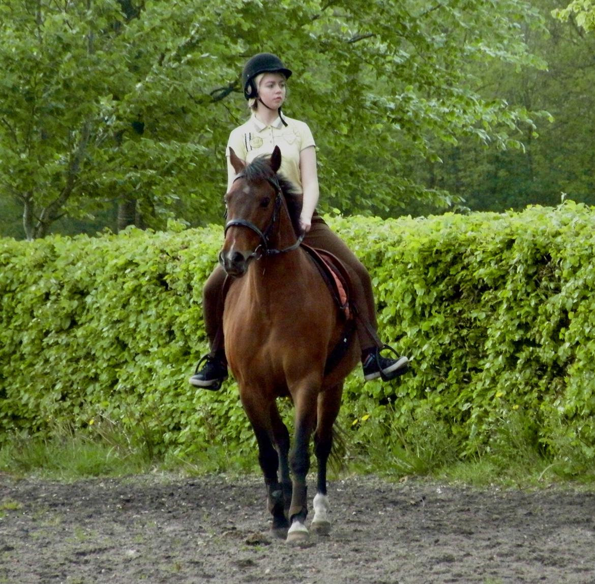 Anden særlig race Wilanó  billede 6