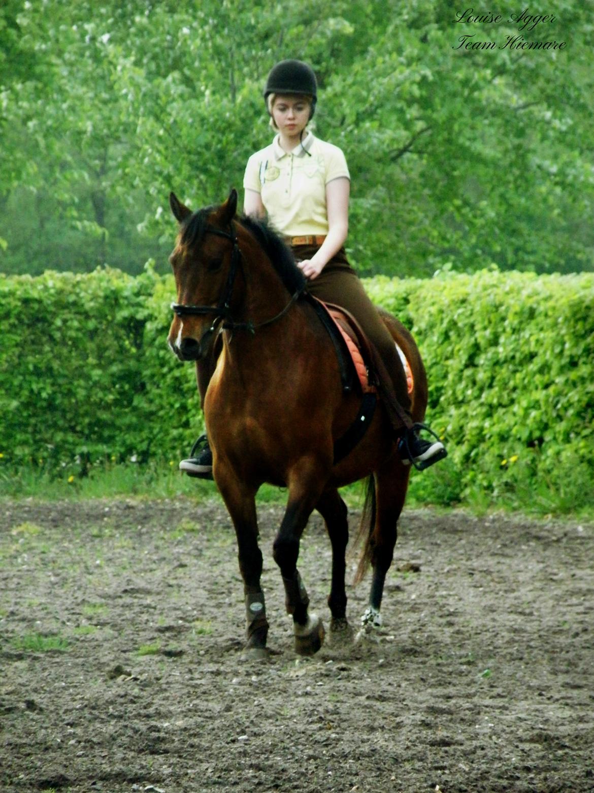 Anden særlig race Wilanó  billede 7