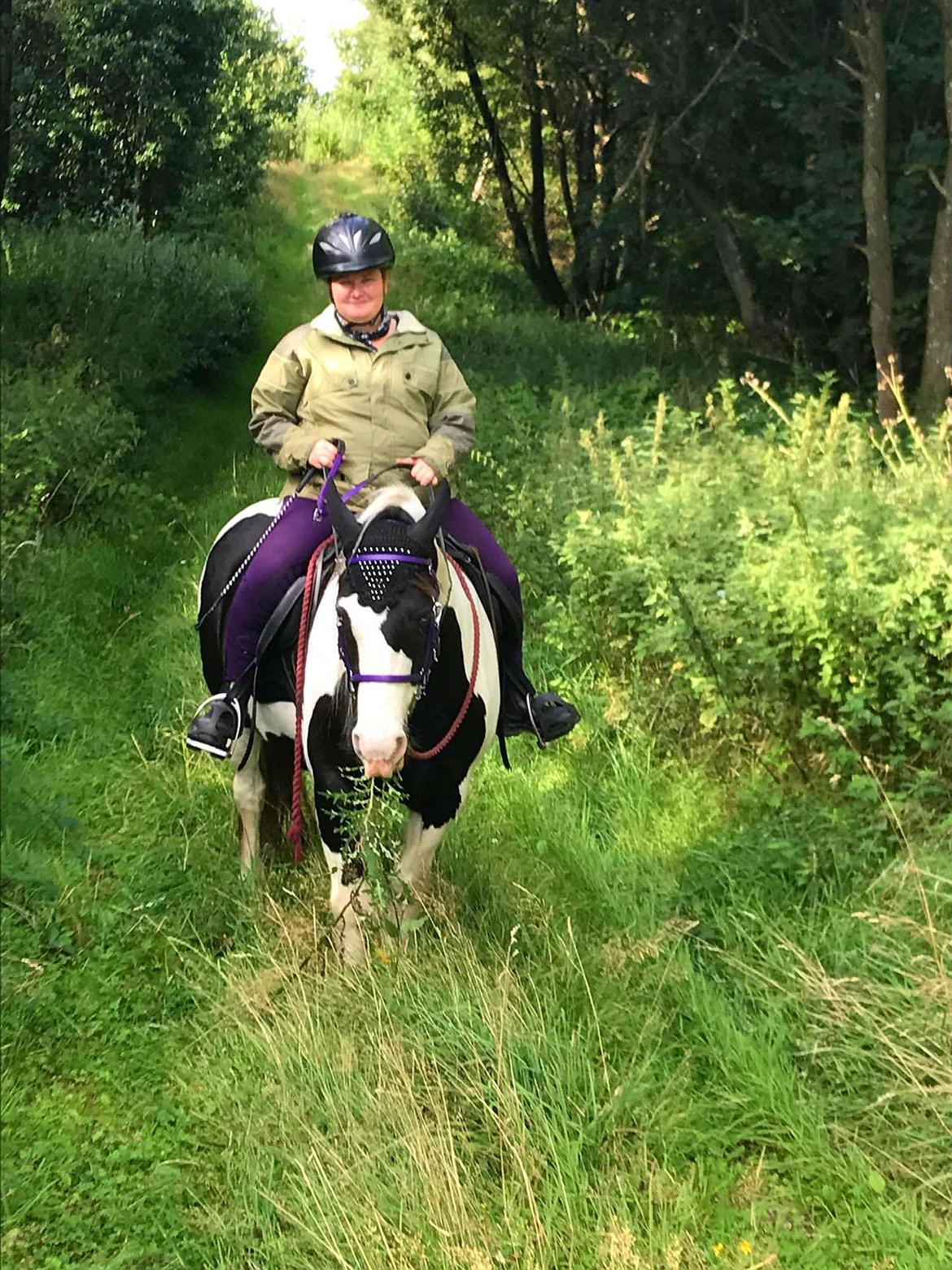 Tinker Skovbakkens Maggi May billede 4