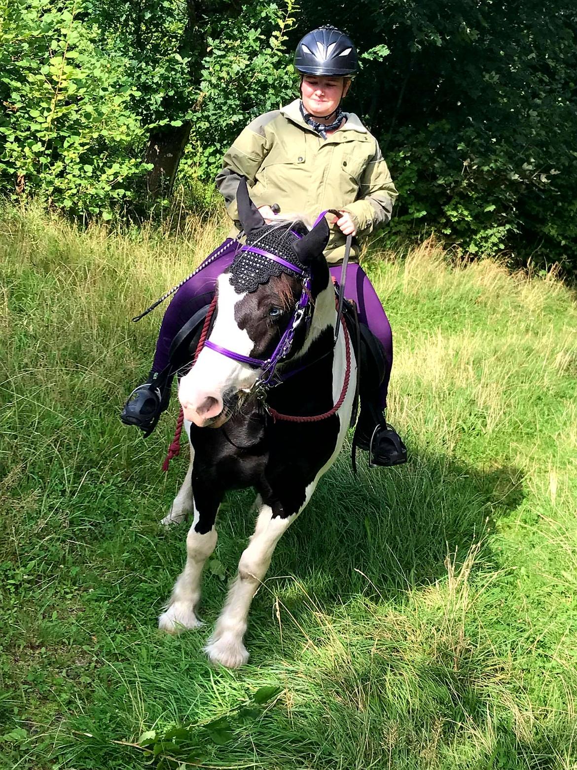 Tinker Skovbakkens Maggi May billede 6