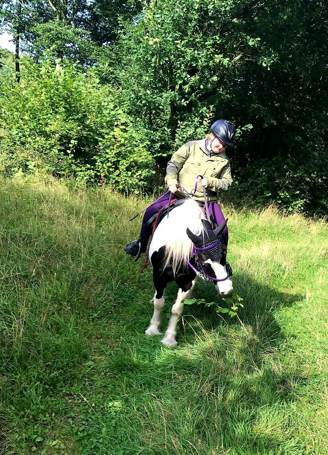 Tinker Skovbakkens Maggi May billede 5