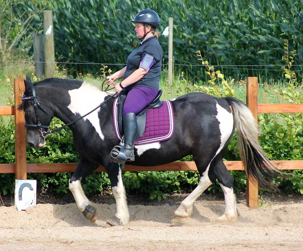 Tinker Frida billede 3