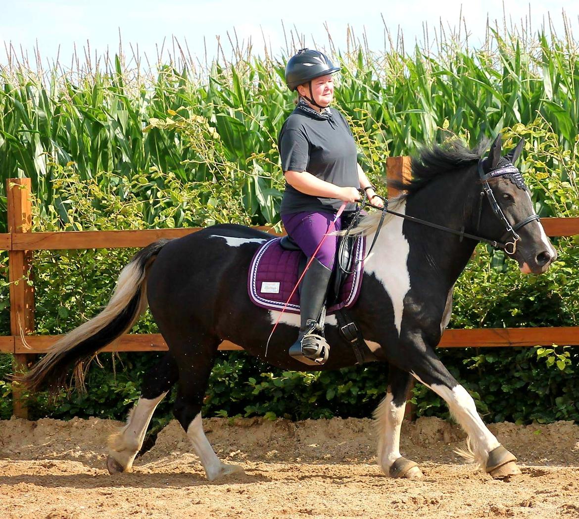 Tinker Frida billede 1