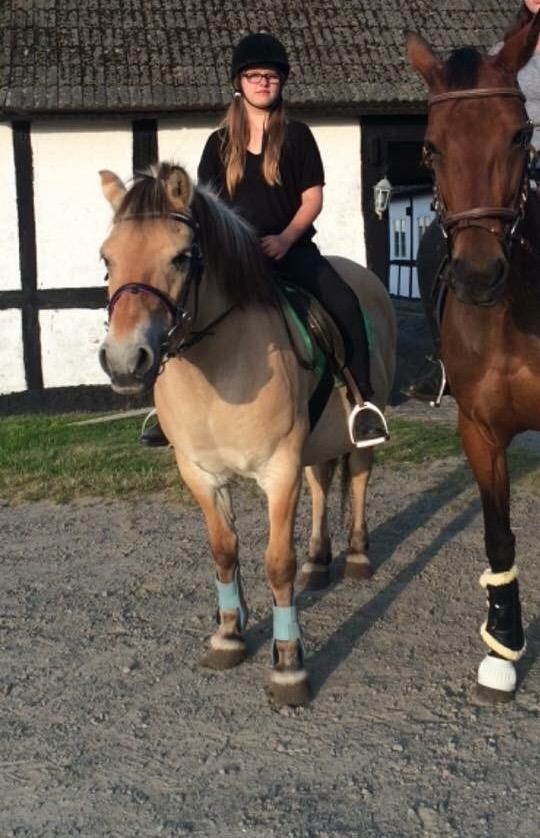 Traver Only Epice billede 18