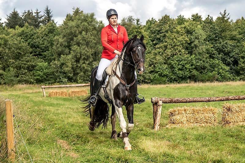 Barockpinto Obelix fan thorum billede 12