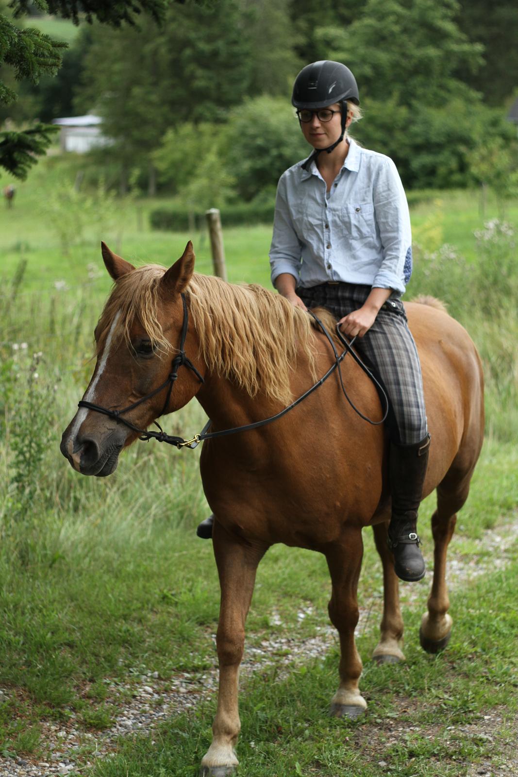 Anden særlig race Speedy billede 4