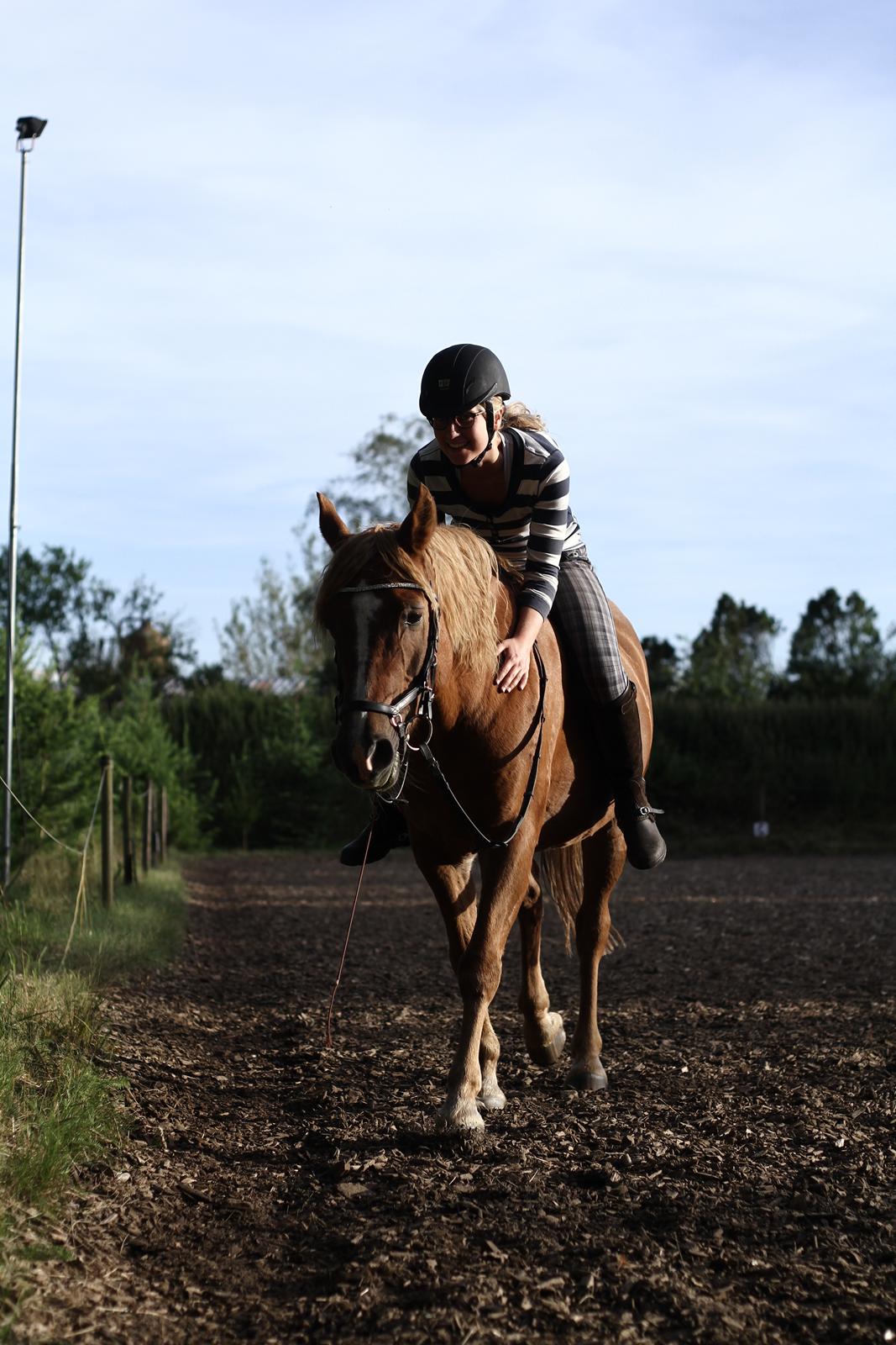Anden særlig race Speedy billede 2