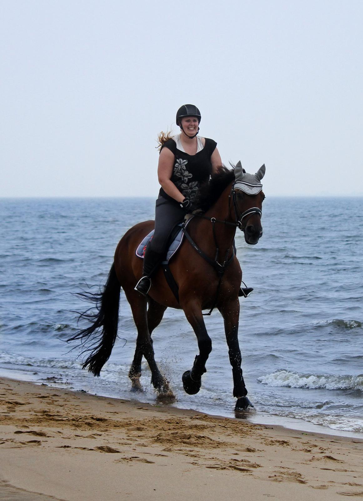 Anden særlig race Dalvangs Casper - På stranden august 2017 billede 14