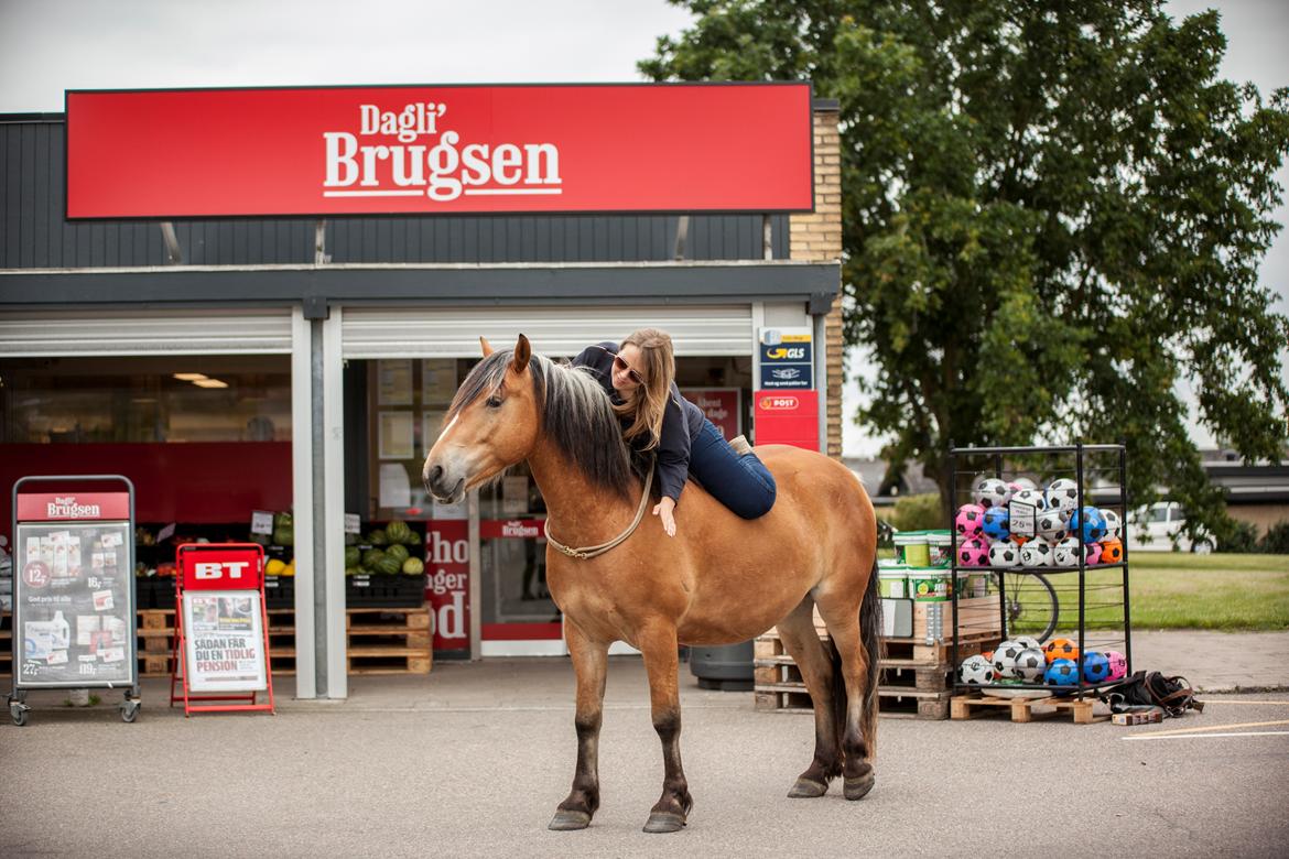 Anden særlig race Revsgaards primo - 12 billede 16