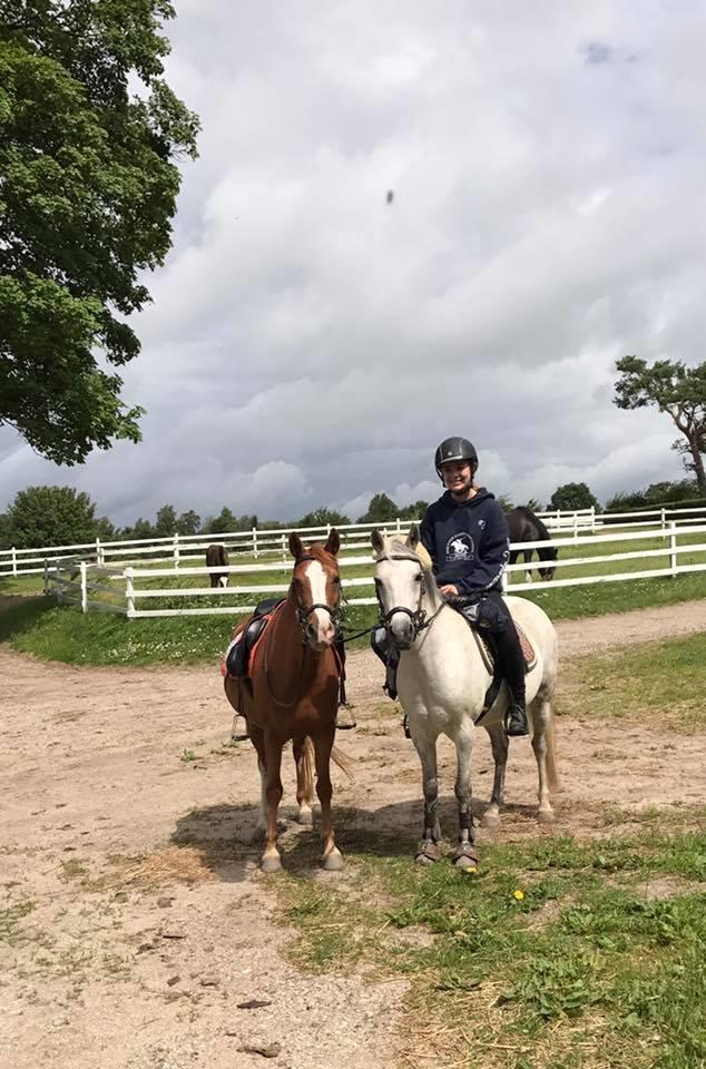 Anden særlig race Rødstjerne ( Chili)  billede 22