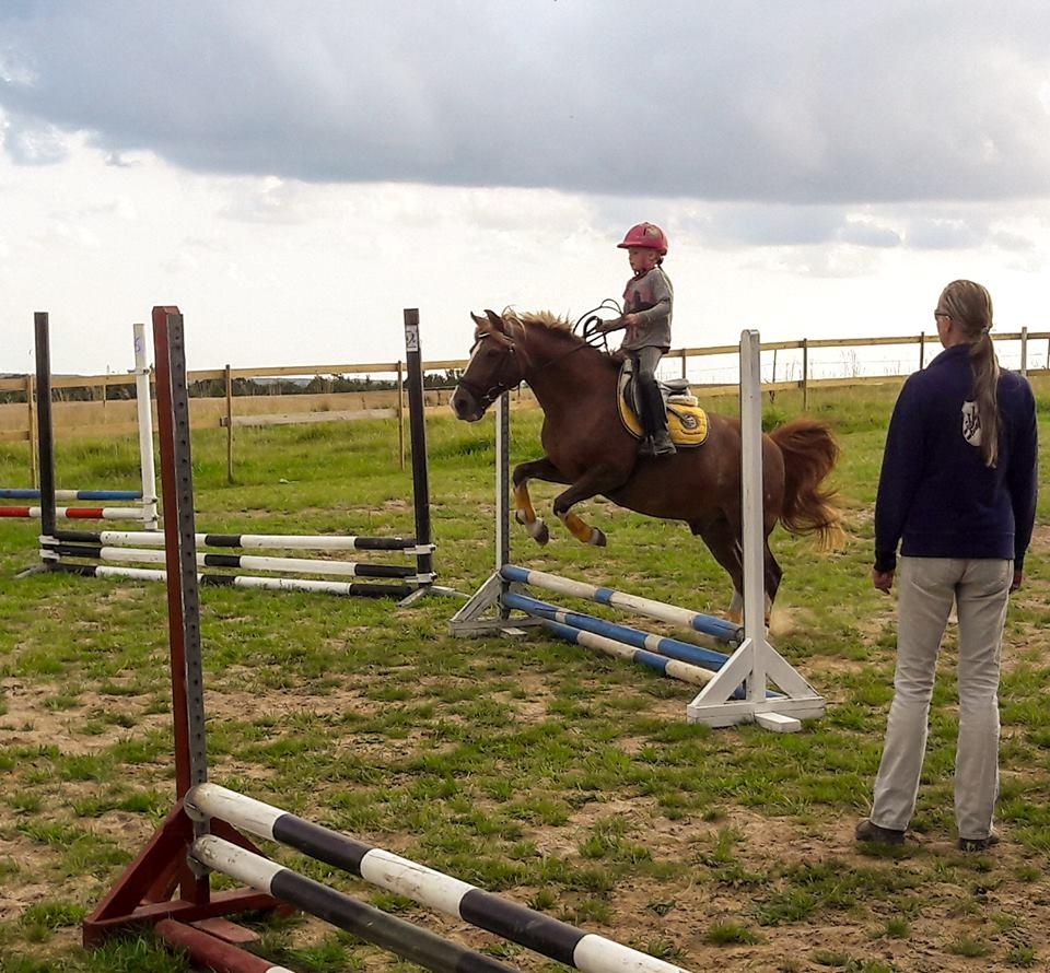 Anden særlig race Jonas billede 14
