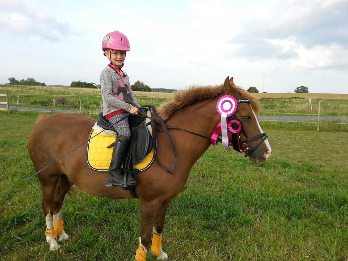 Anden særlig race Jonas billede 2