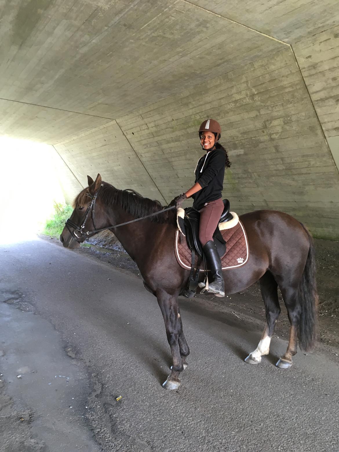 New Forest Elmholts Filicia - Filicia og jeg, på tur på vej for første gang sammen september 2017♥♥ billede 20