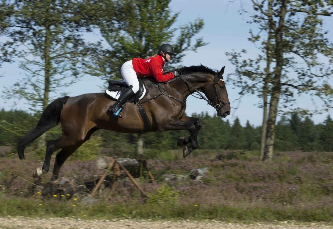 Oldenborg Cornett  - Kompedal D.3/9-17 billede 11