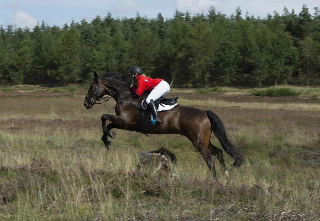 Oldenborg Cornett  - Kompedal D.3/9-17 billede 30