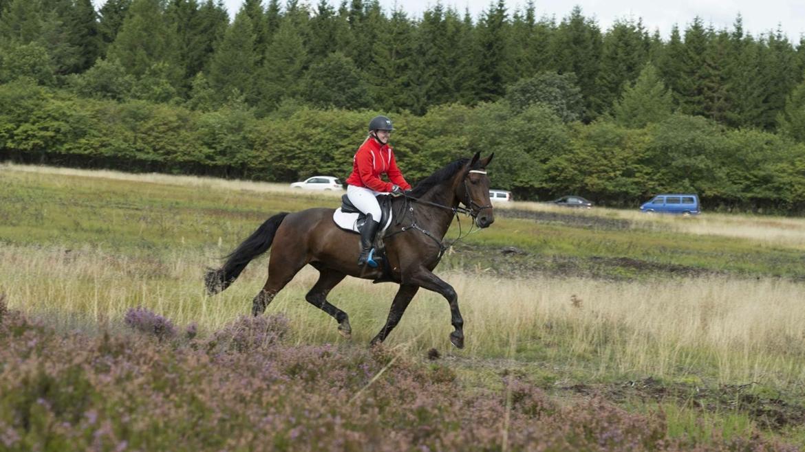 Oldenborg Cornett  - Kompedal D.3/9-17 billede 32