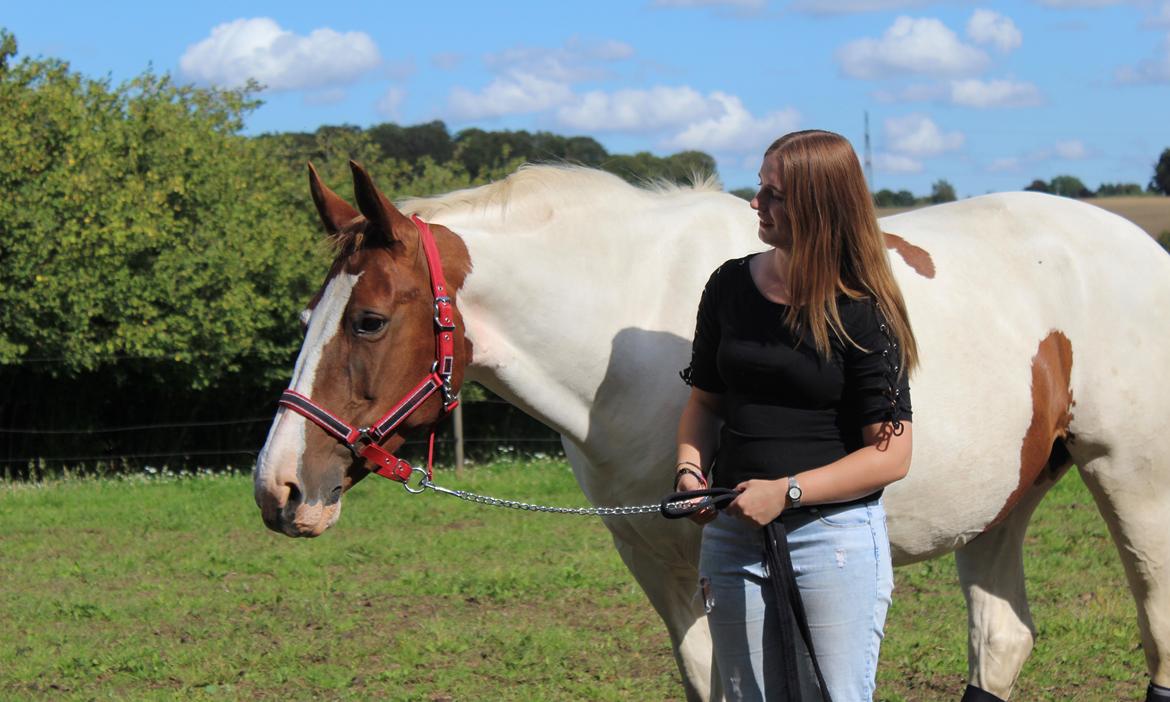 Anden særlig race Freja - Den eneste måde man kan få ørene frem på æslet er ved at trække hende hen til noget, der er farligt! billede 5