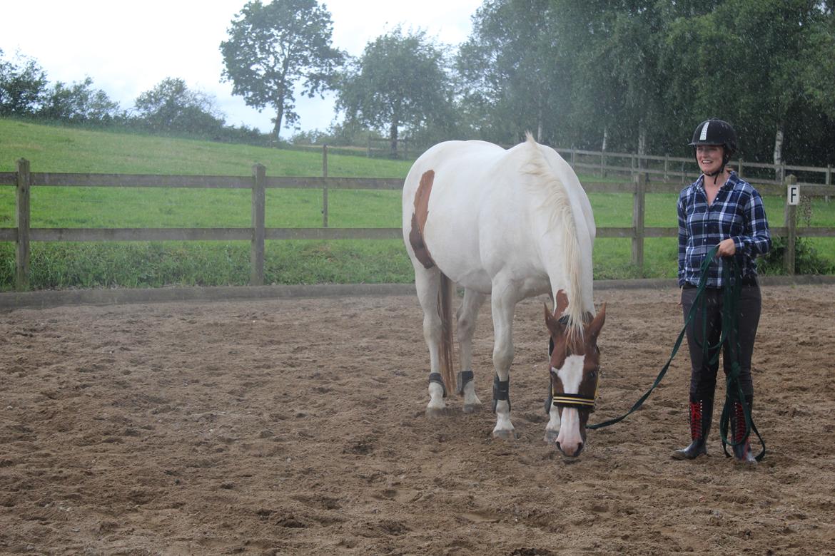 Anden særlig race Freja - Når det lige pludselig begynder at pisregne under løsspring - øv siger Freja! billede 12