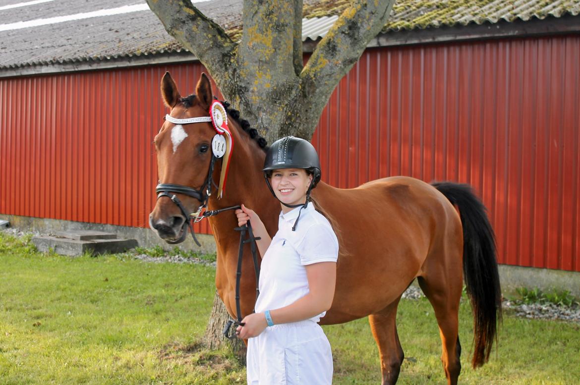 Sportsaraber (A) Aragorn's Choice billede 20