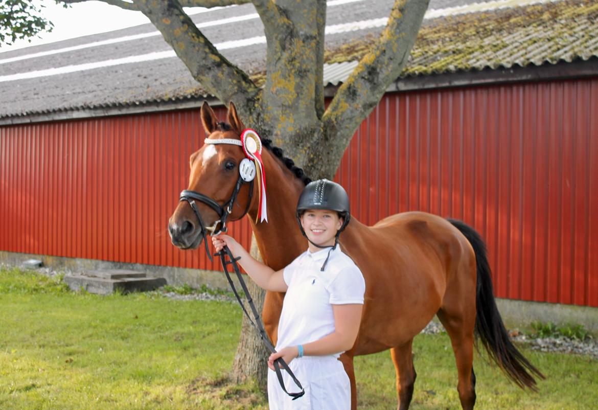 Sportsaraber (A) Aragorn's Choice billede 18