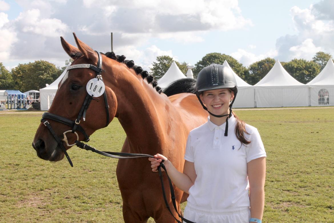 Sportsaraber (A) Aragorn's Choice billede 25