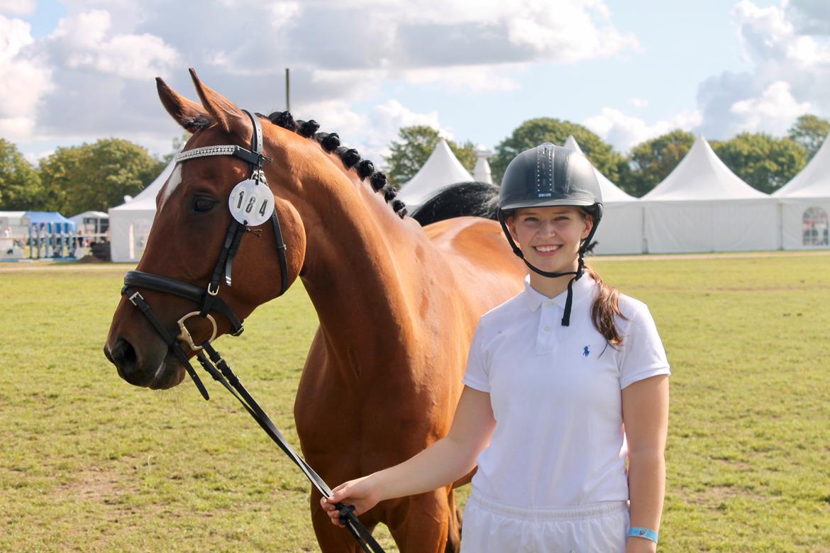 Sportsaraber (A) Aragorn's Choice billede 1