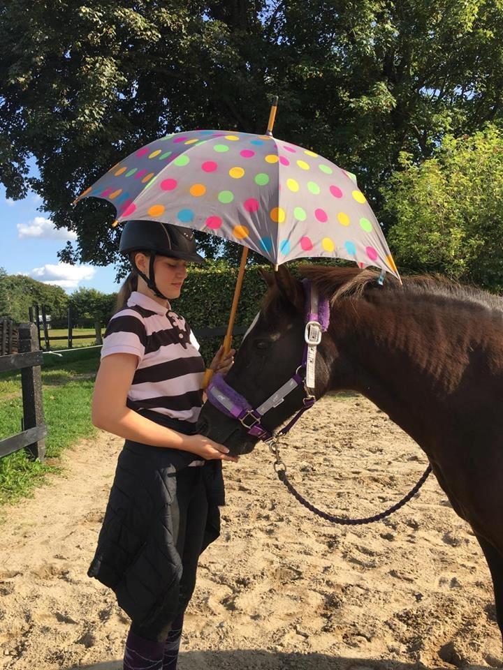 New Forest Kærgaardens Chili billede 14