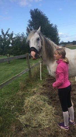 Dansk Varmblod Quvinto -RIP - Q og min lillesøster Nicoline billede 3