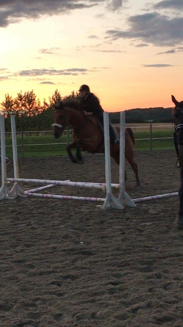 Traver Gunnison (R.I.P)  billede 15