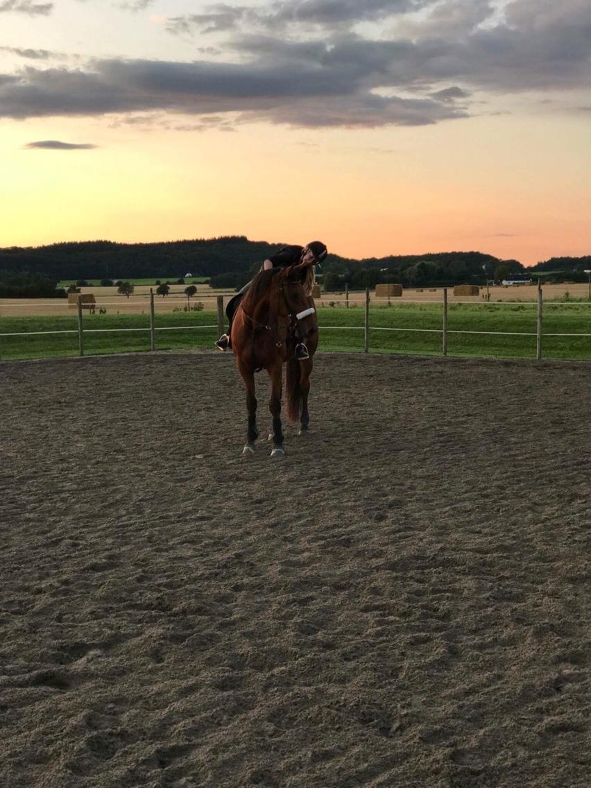 Traver Gunnison (R.I.P)  billede 16